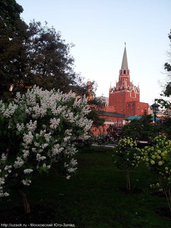 Александровский сад и Кремль.jpg