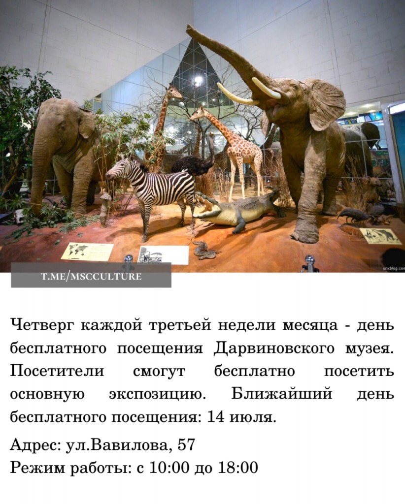 дарвиновский музей.jpg