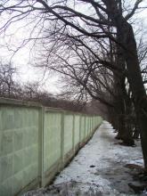 Ограда Коробовского сада